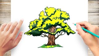 How To Draw An Oak Tree [upl. by Aldis]