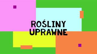 Przyroda kl 4 Rośliny uprawne [upl. by Artenek779]