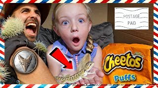 I Pretend Mailed Myself to Desert With Pet Lizard amp Met Coyote Peterson From Brave Wilderness [upl. by Joab]