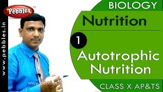 Autotrophic Nutrition Nutrition  Biology  Science  Class 10 [upl. by Ahsiekim]