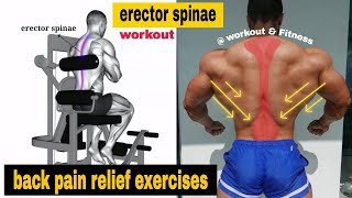 5 erector spinae exercises  How to Get a Strong Low Back [upl. by Anaert]