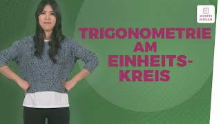 Trigonometrie anschaulich erklärt I musstewissen Mathe [upl. by Koblick]