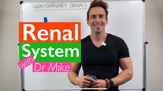 Renal System  Overview [upl. by Follmer]