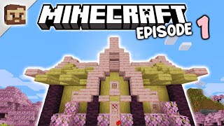 A PINK Minecraft Starter House  Minecraft Survival Let’s Play Episode 1 120 [upl. by Arturo]