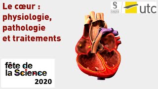 Le cœur  physiologie pathologie et traitements [upl. by Alamaj]