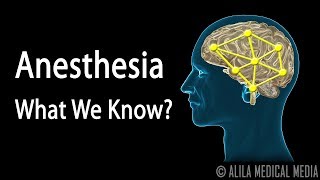 Neuroscience Basics Anesthesia How it Works Animation [upl. by Connie27]