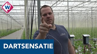 Dartsensatie Dirk van Duijvenbode staat weer gewoon tussen de aubergines  OMROEP WEST [upl. by Jovia]