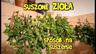 Jak suszyć miętę tymianek i inne zioła  sposób Wiejskich Inspiracji [upl. by Maltz]