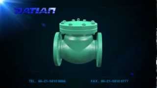 API Swing Check Valve [upl. by Erimahs]