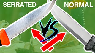 Can a Serrated Knife be BETTER Than a regular Knife [upl. by Lazaro543]