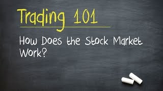 Trading 101 How Does the Stock Market Work [upl. by Koss701]