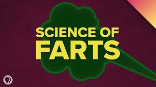 The Science of Farts [upl. by Dillon]