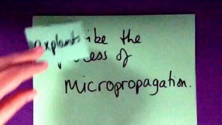 Describe the Process of Micropropagation [upl. by Ailegra933]