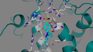 Celecoxib Celebrex and other COX2 Selective Inhibitors [upl. by Amaryl]