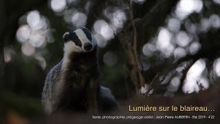 Lumière sur le blaireau… [upl. by Enair]