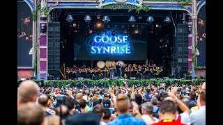 Symphony of Unity  Tomorrowland Belgium 2019  W2 [upl. by Emilio]