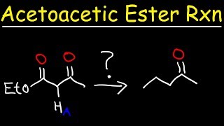 Acetoacetic Ester Synthesis Reaction Mechanism [upl. by Duma189]