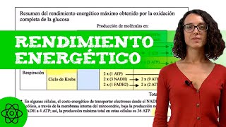 EJERCICIO de METABOLISMO  Rendimiento energético  aeróbicaanaeróbica [upl. by Zimmermann]