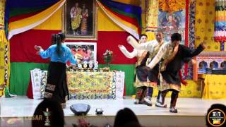 Tibetan Dance Performed  By Bhutanese friends in New York Losar 2016 [upl. by Anelhtak374]