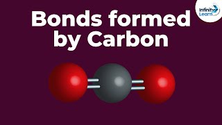 Bonds formed by Carbon  Dont Memorise [upl. by Aizahs84]