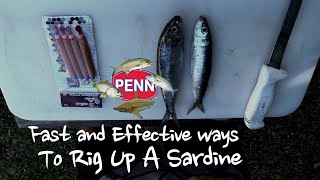 Fastest ways to Rig a sardine [upl. by Larrie]