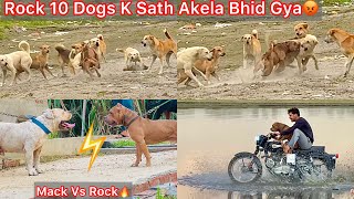 Rock Ko Mack Se Milvane Le Gye🔥Rock 10 Dogs K Sath Akela Bhid Gya😰Panga Hogya Yamuna Nadhi Par🐶 [upl. by Eenaj]