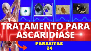 TRATAMENTO DA ASCARIDÍASE LOMBRIGA  COMO ACABAR COM AS LOMBRIGAS  PARASITOLOGIA  INFECTOLOGIA [upl. by Noneek]