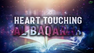 THE MOST HEART TOUCHING RECITATION OF SURAH BAQARAH [upl. by Norword955]