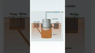 biogas plant diagram  CLASS XII th [upl. by Shaff457]