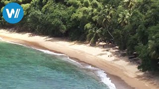 Tobago traveldocumentary from the season quotCaribbean Momentsquot [upl. by Lyrehc]