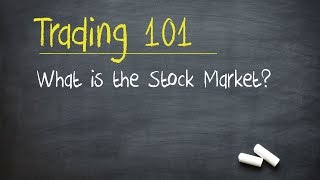 Trading 101 What is the Stock Market [upl. by Nothsa]