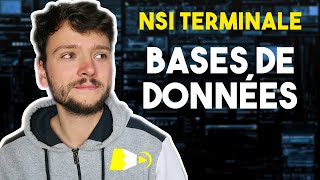 LES BASES DE DONNÉES  NSI Terminale [upl. by Nikos587]