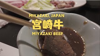 Japan Vlog  Miyazaki Beef Yakiniku [upl. by Ennaillek654]