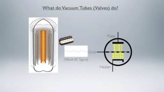 What do vacuum tubes valves do [upl. by Leasi947]