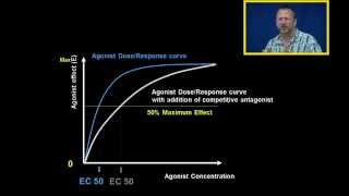 Agonist DR Curves with Competitive and Noncompetitive Antagonist [upl. by Eido]