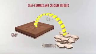 Humic and Fulvic acids [upl. by Mazman]