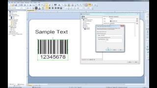 VB Scripting in BarTender 2016 Recorded Webinar [upl. by Entroc]