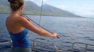 Whales Hang out to Hear Violin [upl. by Graniela]