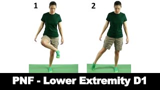 PNF Lower Extremity D1  Ask Doctor Jo [upl. by Chalmers]