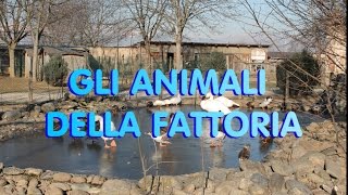 GLI ANIMALI DELLA FATTORIA [upl. by Alvinia]