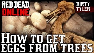 How To Get Eggs From Trees Plus Egret Egg Location for the Collector Role Red Dead Online RDR2 [upl. by Tfat]