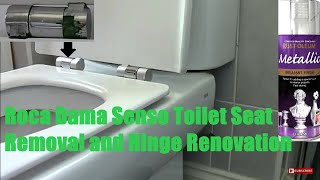 Roca Dama Senso Toilet Seat Removal Hinge Restore [upl. by Xeno]