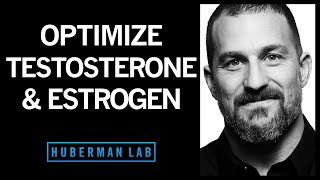 TESTOSTERONE How To Increase Testosterone amp Its Effects Naturally Boost Low Levels [upl. by Petite759]