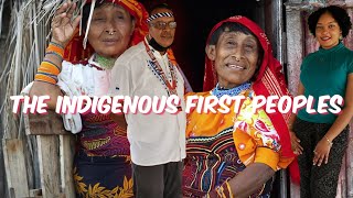 The Indigenous First Peoples of Trinidad  Trinidad Youtuber [upl. by Onairda594]