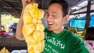 How To Eat CEMPEDAK FRUIT  Harvesting and Eating Exotic Asian Fruit NOT a Jackfruit [upl. by Einniw]