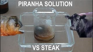 Piranha Solution vs Steak  ElementalMaker [upl. by Ttiwed]