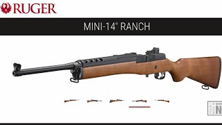 RUGER MINI14 RANCH review amp shooting [upl. by Magdalena]