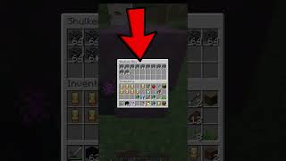 Dupe Spawners In Donut SMP [upl. by Arze346]