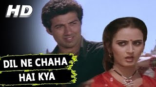 Dil Ne Chaha Hai Kya  Kavita Krishnamurthy  Yateem 1988 Songs  Sunny Deol Farah Naaz [upl. by Azerila]