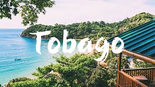 TOBAGO  TOP 10 THINGS to See amp Do  Travel Guide [upl. by Noitsuj]